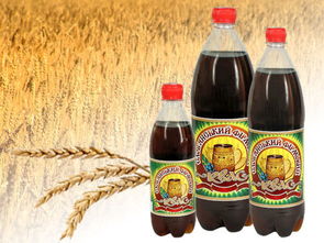 莫斯科民族饮品卡瓦斯 畅游俄罗斯首都的餐饮与旅游攻略